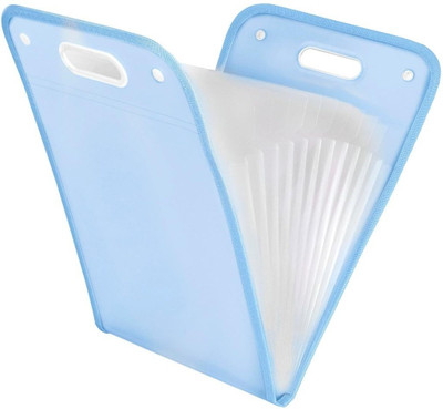 Qinitzz plastic 13 Pockets Vertical Expanding File Folder Accordion File Folder Organizer for A4 Size(Set Of 1, Blue)