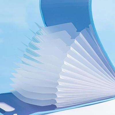 CHEFERYN Polypropylene (PP) File Folder Expanding File(Set Of 1, Multicolor)