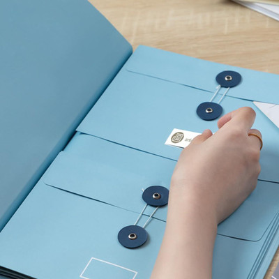 Climberty Paper File Organiser(Set Of 1, Blue)
