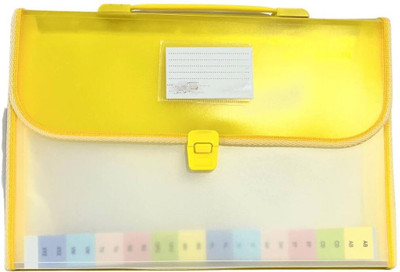 LKA Plastic Expanding File Folder for Document Holder| Brief Case| Holder(Set Of 1, Multicolor)