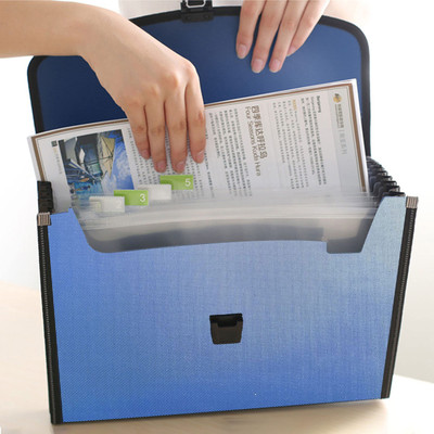 DaKos Polypropylene Basic Expanding Briefcase File Folder, File Storage Briefcase, File Folder Bag with Waterproof, A4 File Folder with 12 Pockets with Durable Buckle and Portable Handle for Office(Set Of 1, Blue)