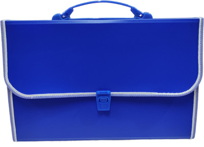 ravariya graphics plastic File Folder F/C Expanding Bag with Handle Pack Of 1 Page Capicity 100(Set Of 1, MULTY)