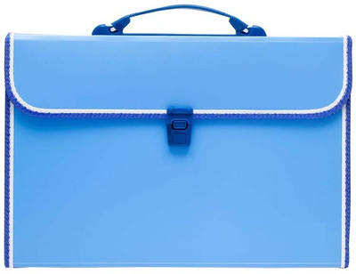 MILLENSIUM plastic Plastic 13 Pockets Expanding File Folder Document/ A4 Size File Organizer Handle(Set Of 1, Blue)