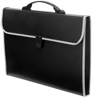 THR3E STROKES Plastics Plastic File Folder F/C Expanding Bag with Handle(Set Of 1, Black)