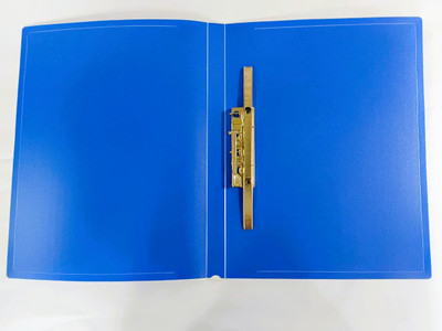 LAWPOINT Plastic Open File(Set Of 12, Blue)