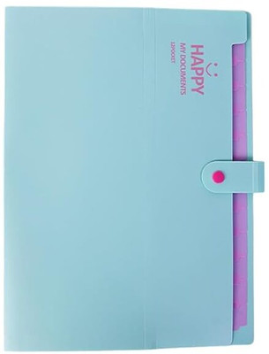 SYGA Plastic Storage Folder(Set Of 1, Purple)