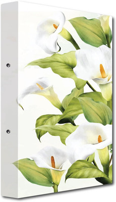 Nourish Cardboard Display File(Set Of 1, Multicolor)