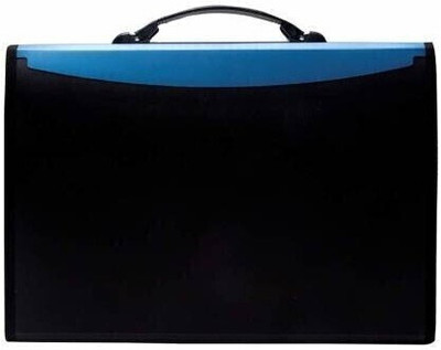 KATARIA PLASTIC 13 POCKET EXPANDING BAGS(Set Of 1, BLUE,BLACK)