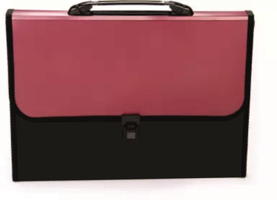THR3E STROKES Plastic Expanding File Folder, Letter Size (Fits A4 Paper) - Red - with 13 Pockets(Set Of 1, Red)