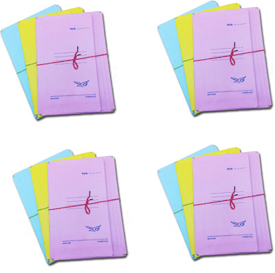 CRAFTWAFT Eagle Multicolored Regular Arati Paper Board Matt Four Fold Document Folder Cover File(Set Of 12, Coloured Rope, Pink, Green, Sky)