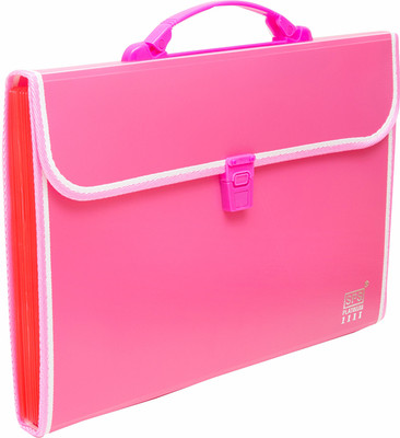 Skrill Plastic 13 Pockets Expanding File Folder for Documents, Certificates, A4/Foolscap/Legal Size File Organizer with Carry Handle(Set Of 1, Pink)