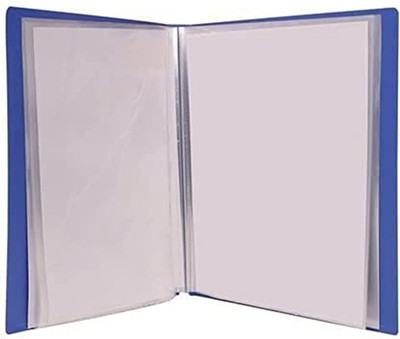 R K SALES Plastic Poly Propylene Heavy Duty Display Pocket Files F/S Size(Set Of 10, Blue)