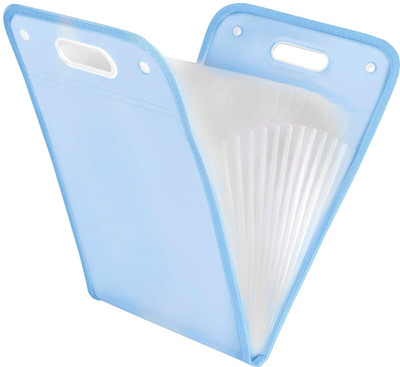 Gomnik plastic 13 Pockets Vertical Expanding File Folder Accordion File Folder Organizer for A4 Size(Set Of 1, Blue)