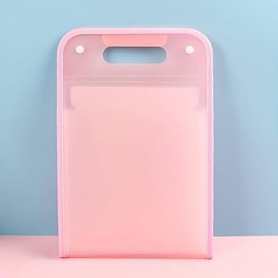 RIDHHANAL Plastic A4 Paper File Folder Expanding Folder Bag 13 Layer File Bag with Button(Set Of 1, Multicolor)