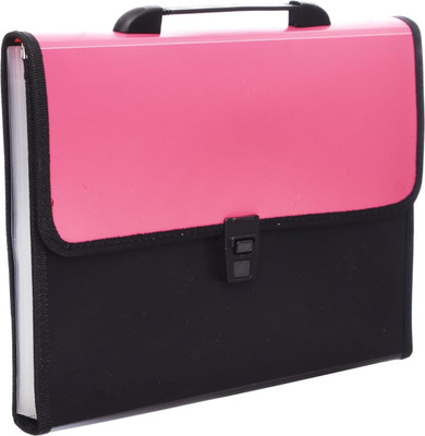 SHINING ZON opeque Expandable File Folder Document File(Set Of 6, Multicolor)