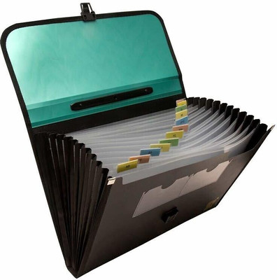 Rangwell plastic Presents Plastic File 13 Folder F/C Expanding Bag with Handle 5555 (Green, Black)(Set Of 1, (Green, Black))