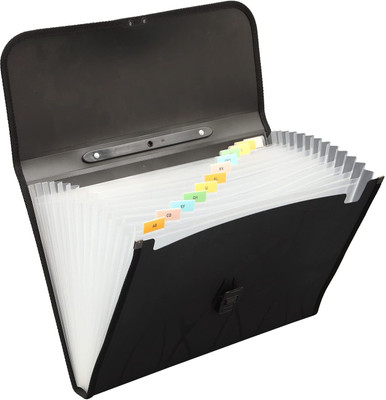 MILLENSIUM plastic Plastic 13 Pockets Expanding File Folder for Documents, A4 Size Organizer - F02(Set Of 1, Black)