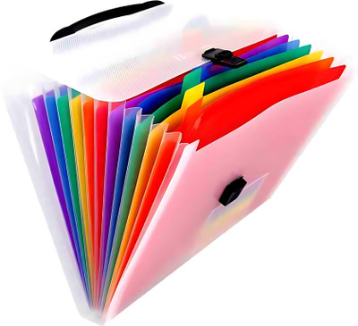 lenspoint plastic File Organizer(Set Of 1, Multicolor)