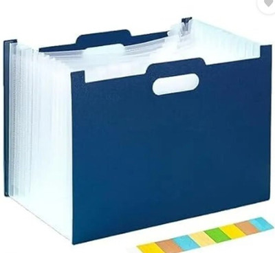 Harvic plastic FILE(Set Of 1, Blue)