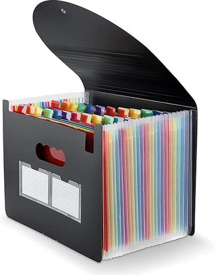HOMETIC Plastic File Folder(Set Of 1, Black)