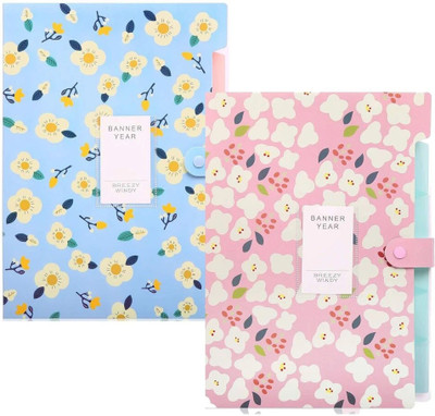 Wynhard 5 Pockets Document File Folder File A4 Size Document Certificate File Folder Expanding Document Certificate Holder file(Set Of 2, Blue, Pink)