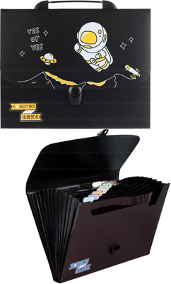 FunBlast Paper File Folder(Set Of 1, Multicolor)