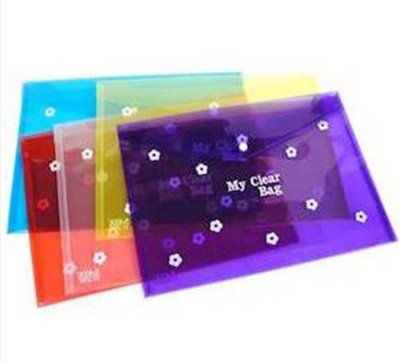 MADHAV polypropylene file folder(Set Of 10, Multicolor)