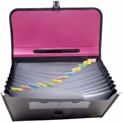 Rangwell plastic Presents Plastic File Folder F/C Expanding Bag with Handle 5555 (Pink, Black)(Set Of 1, (Pink, Black))
