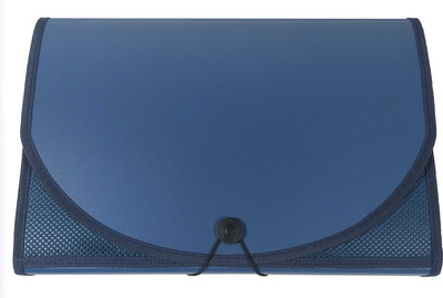 SHINING ZON Plastic 13 Pocket Expanding File Folder Multipurpose(Set Of 1, Blue)