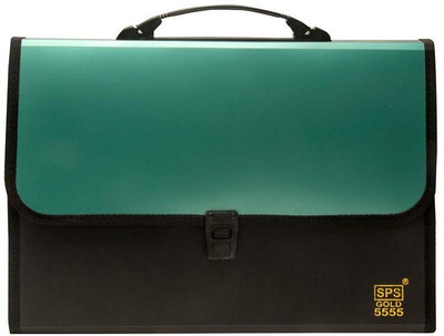 BANISTROKES PLASTIC 13 Pocket Expanding File Folder with Buckle Closure,Label Index and Handle(Set Of 1, for A4/Foolscap/Legal Documents (Green Black))