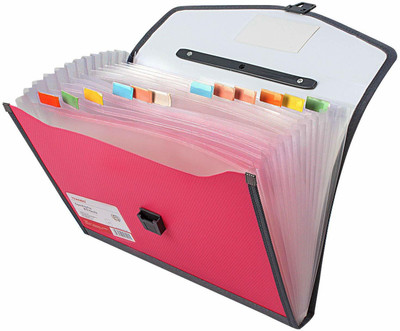 Greeshma PLASTIC Plastic Expanding File Folder with 13 Section Pockets,Handle, Index Tab,(Set Of 1, Pink)
