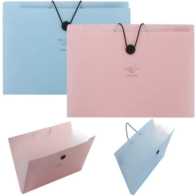 MYPS Plastic File folder(Set Of 2, Multicolor)