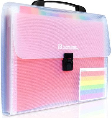 Otiporter Plastic, Polypropylene (PP) Briefcase File Folder(Set Of 1, Rainbow)
