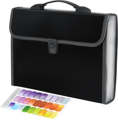 NISUN Polypropylene 13 Pockets Expanding File Folder A4/Lettter Size Document Organizer with Handle(Set Of 1, Black)