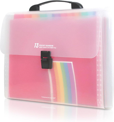 Dhvyant Mart Plastic Expanding 13 Pockets A4 Rainbow Accordion File Organizer For Business Office Study(Set Of 1, Rainbow)