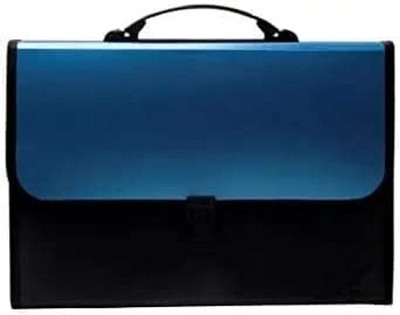 HATHIYANI Plastic 13 Pockets Plastic Expanding File Holder with Carry Handle for Home, Office Organizer 1Pack(Set Of 1, Blue)
