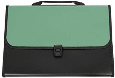 Greeshma Plastic Expanding File Folder with 13 Section Pockets,(Set Of 1, Green)