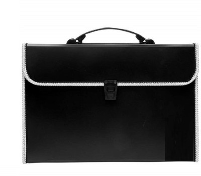 BANISTROKES Plastic 13 pocket A4 Size File Organizer with Carry Handle(Set Of 1, Black)