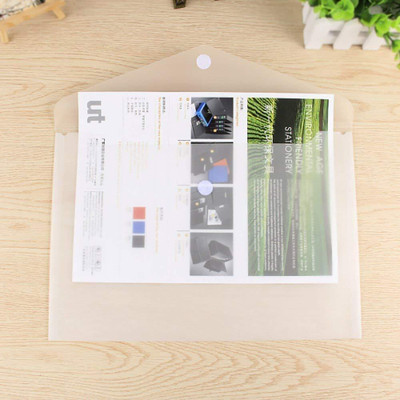 Raghav Collection Plastic Transparent Folder(Set Of 10, Transparent)