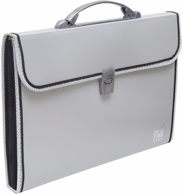 Skrill Plastic 13 Pockets Expanding File Folder for Documents, Certificates, A4/Foolscap/Legal Size File Organizer with Carry Handle(Set Of 1, Grey)