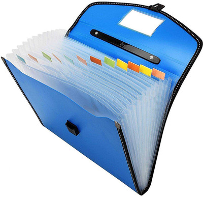 ELIE INDIA PLASTIC Expanding File Folder, A4 Size File Organizer with Handle and 12 Pockets(Set Of 1, Multicolor)