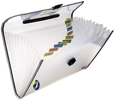 jewett Plastic Transparent Document Organizer(Set Of 1, Light Mix Colored)