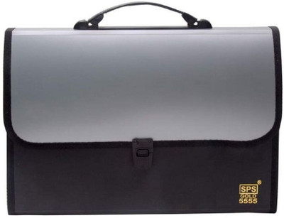 BANISTROKES Plastic 13 pocket A4 Size File Organizer with Carry Handle(Set Of 1, gray black)