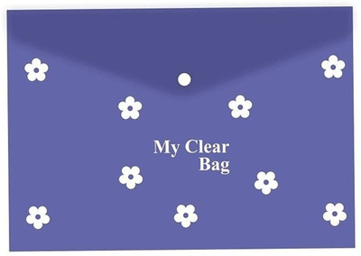Raghav Collection Plastic My Clear Bag(Set Of 5, Multicolor)