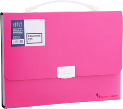 MALFAH ENTERPRISES Plastic EXPANDING FILE 38126 A4-13P DIVIDE EQUALLY(Set Of 1, BLUE/YELLOW/GREEN/PINK)