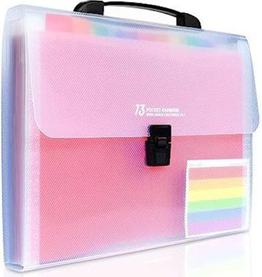 JDSSALES plastic file folder(Set Of 1, Multicolor)