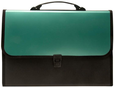 vavia Expanding Plastic File Folder 13 Pockets for Documents,Certificate EXPANDING FOLDER(Set Of 1, Green)