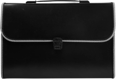 MILLENSIUM plastic Plastic 13 Pockets Expanding File Folder for Documents, A4 Size Organizer - F03(Set Of 1, Black)