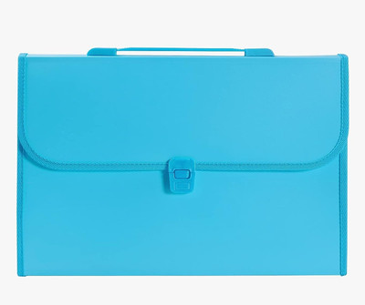 BANISTROKES Plastics Expanding File Folder with 13 Pockets, Handle, and Buckle Closure, for A4 Size Documents(Set Of 1, Blue)
