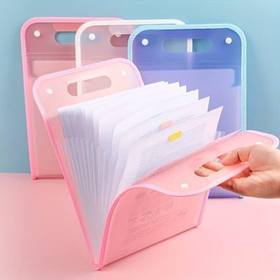 Homorra Polypropylene Expanding File Folder / Accordion File Folder(Set Of 1, Pink, Blue)